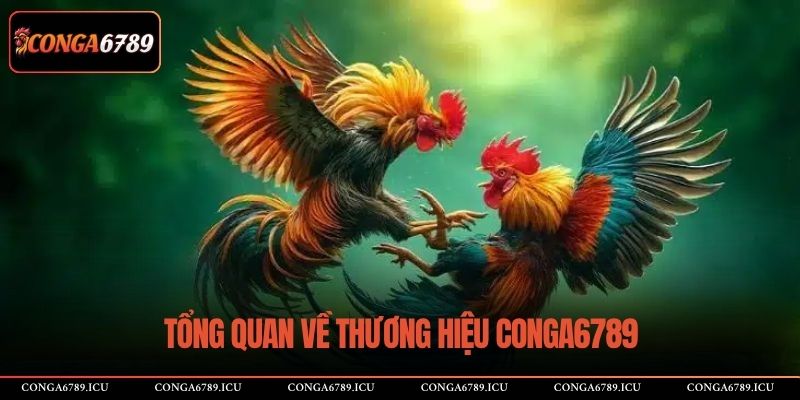 Tổng quan về thương hiệu CONGA6789
