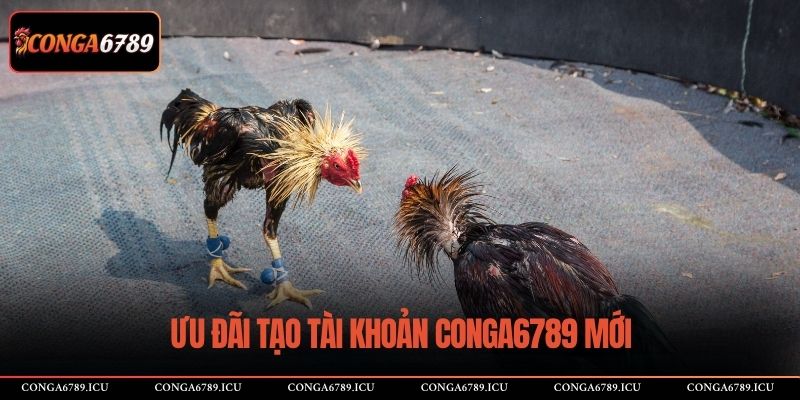 Ưu đãi tạo tài khoản CONGA6789 mới