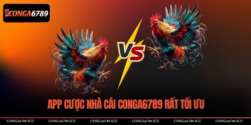 App cược nhà cái CONGA6789 rất tối ưu