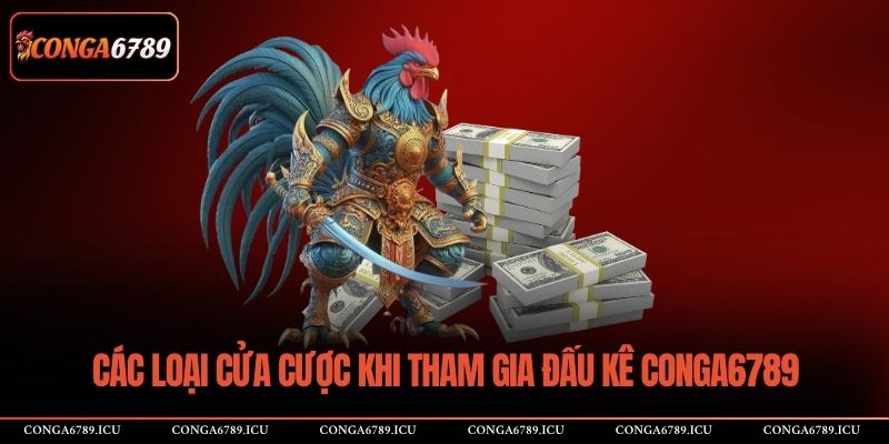 Các loại cửa cược khi tham gia đấu kê CONGA6789