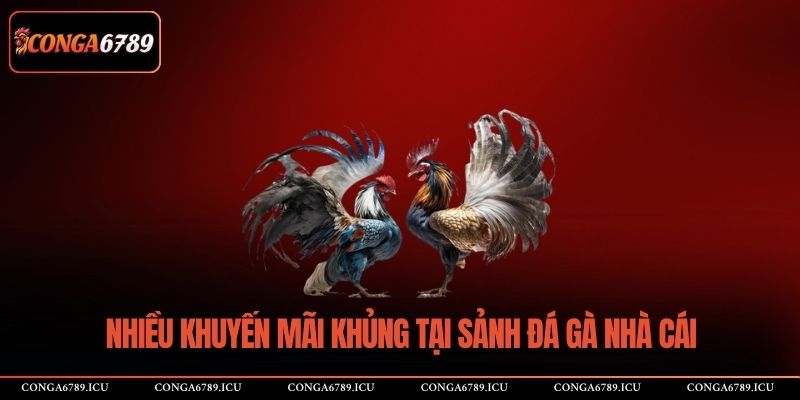 Nhiều khuyến mãi khủng tại sảnh đá gà nhà cái