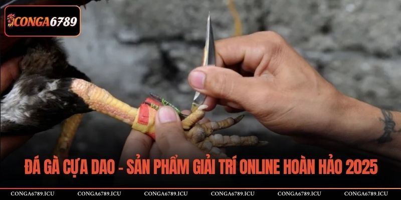đá gà cựa dao
