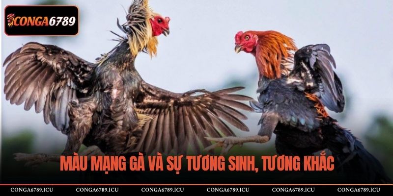 Màu mạng gà và sự tương sinh, tương khắc