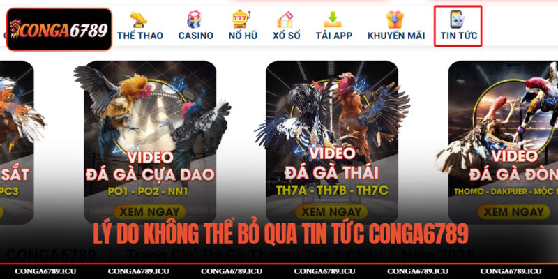 Lý do không thể bỏ qua tin tức CONGA6789